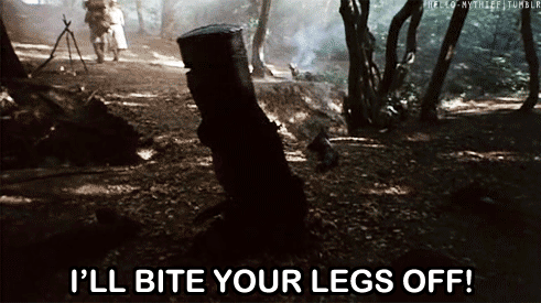 black knight - flesh wound bite your legs off monty python GIF | The Lonely Tribalist